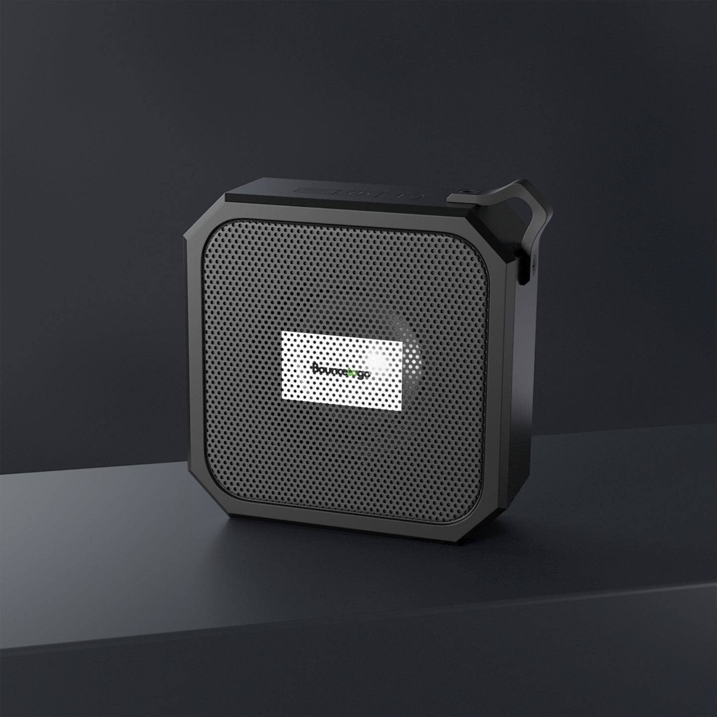 Outdoor Speaker