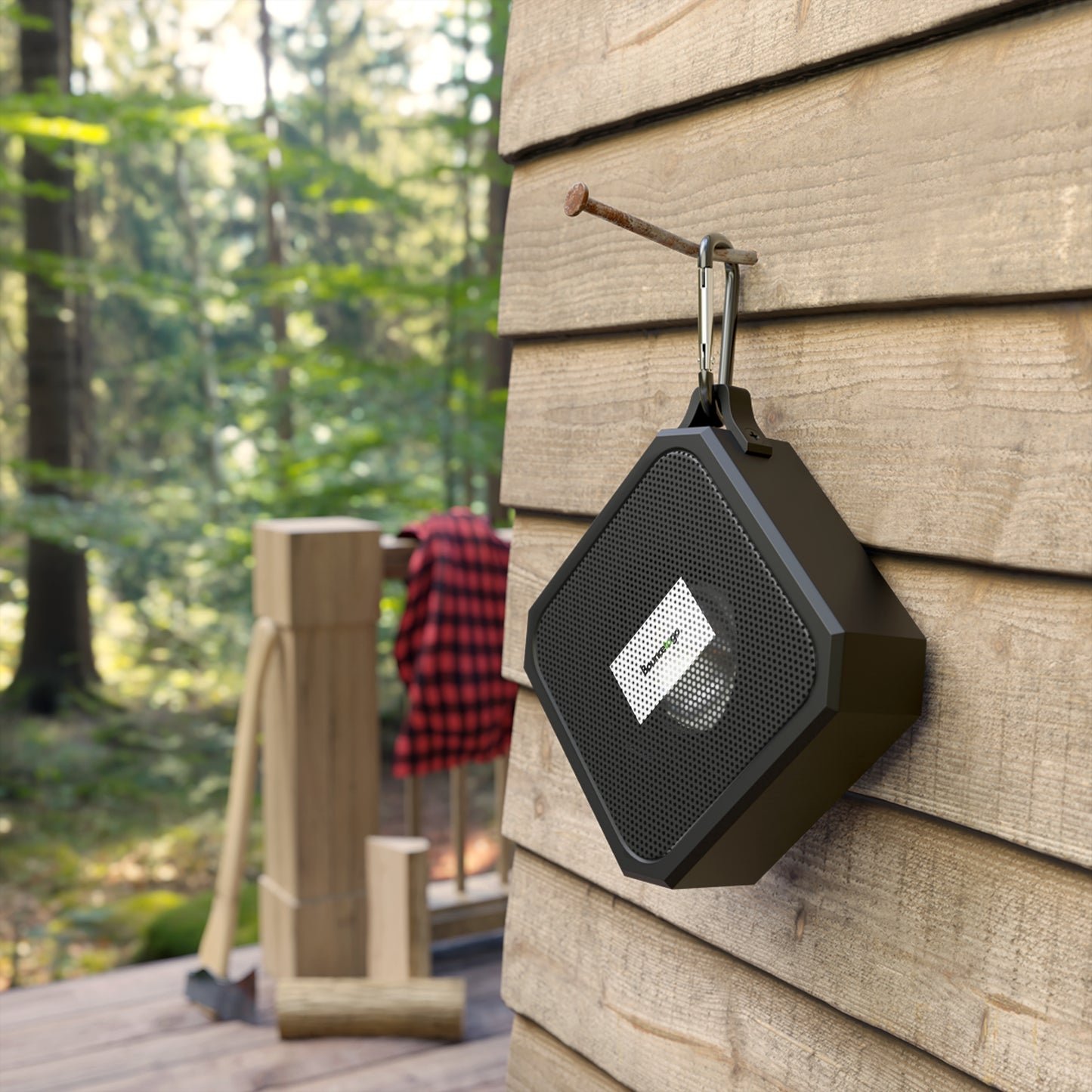 Outdoor Speaker